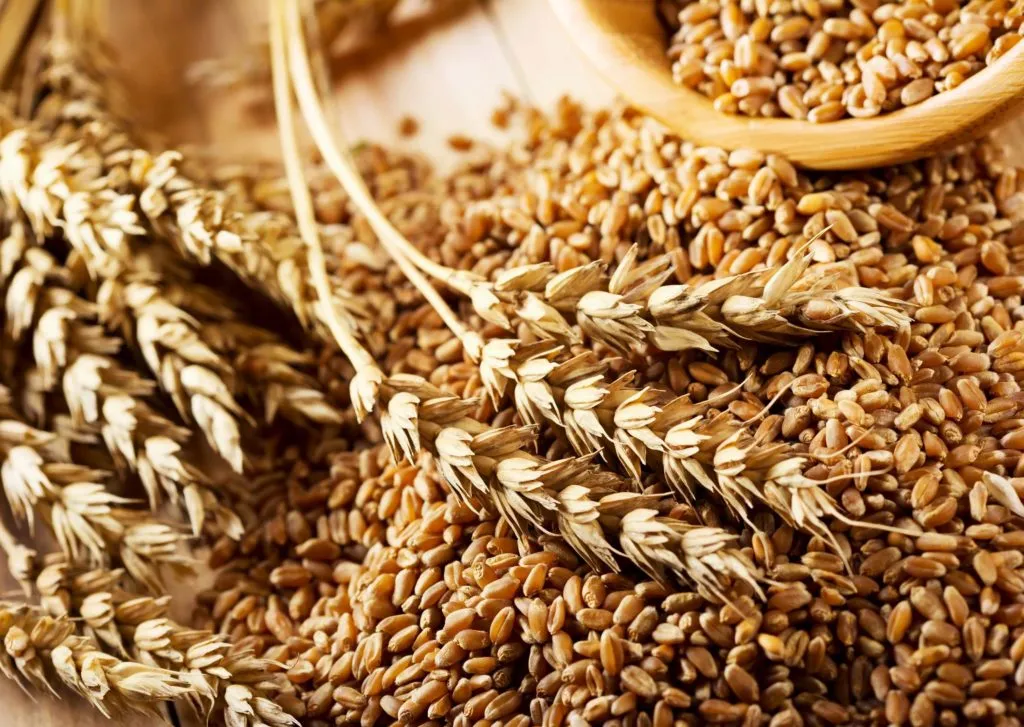 фотография продукта пшеница